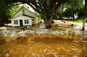 Does homeowners insurance cover mold cover water damage
