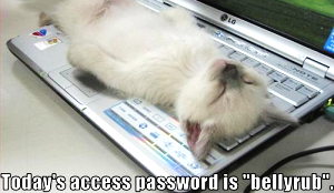 Crazy Passwords